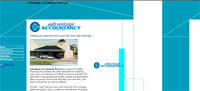 Certified Practising Accountants